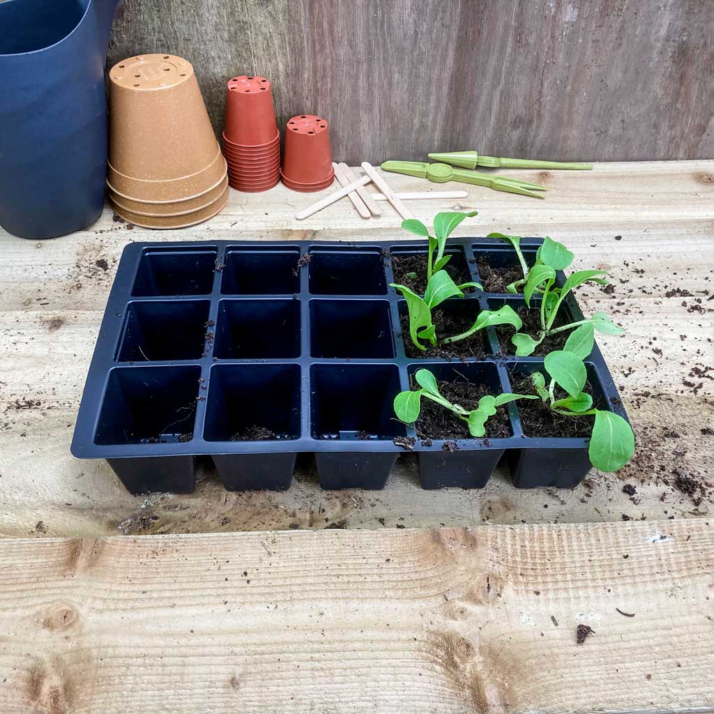 15 modular plant cell inserts
