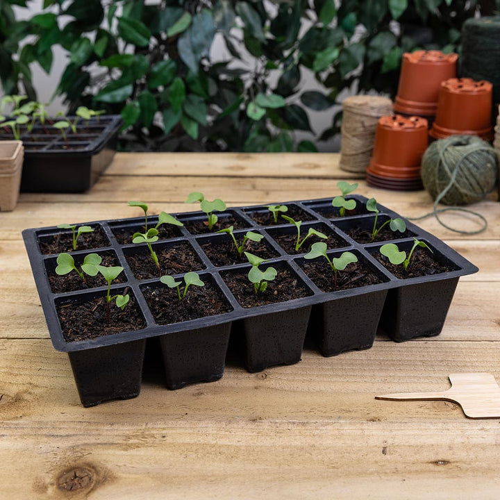 15 modular plant cell inserts