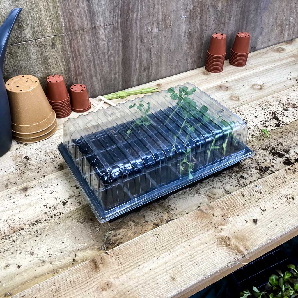 Standard Propagator Set