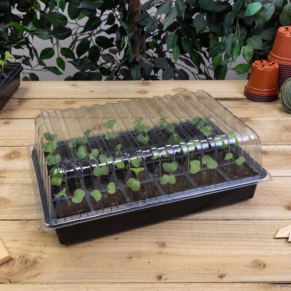 Standard Propagator Set