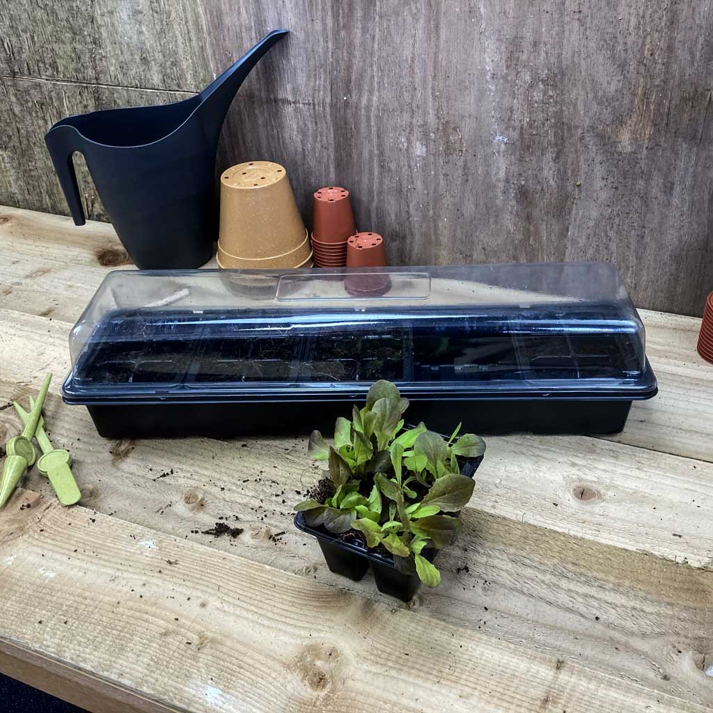 cell trays for plant propagation