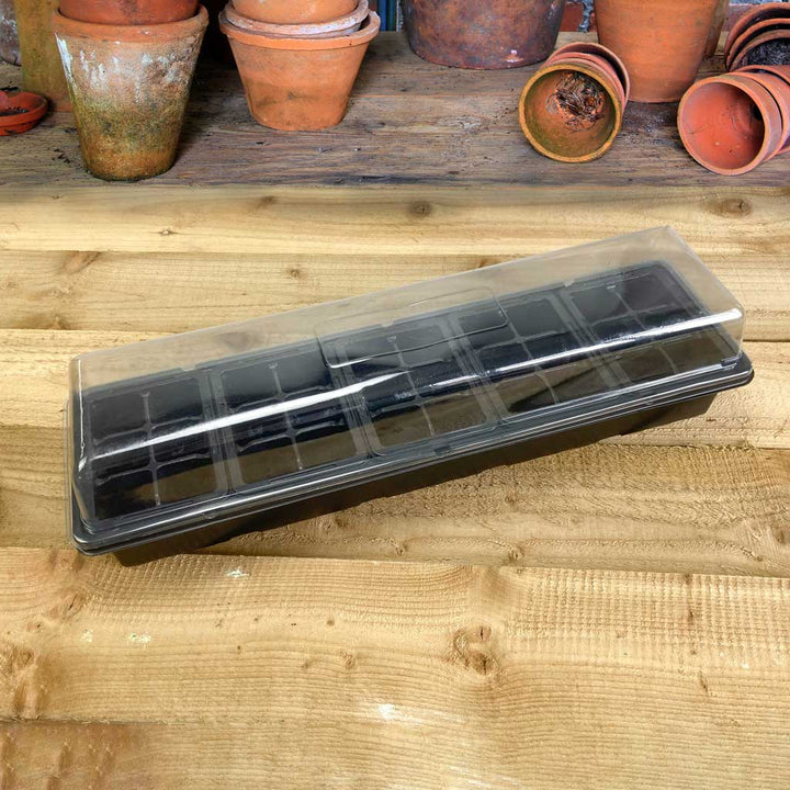 cell tray with clear lid for plant propagation