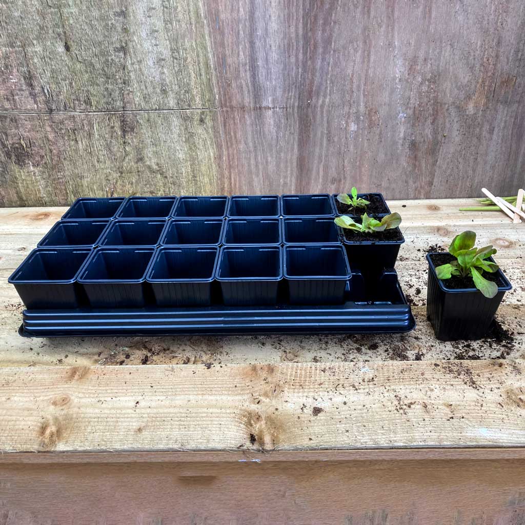 18 Vegetable Growing Pots & Tray
