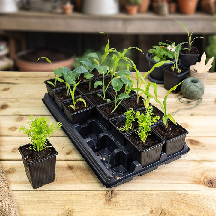 18 Vegetable Growing Pots & Tray