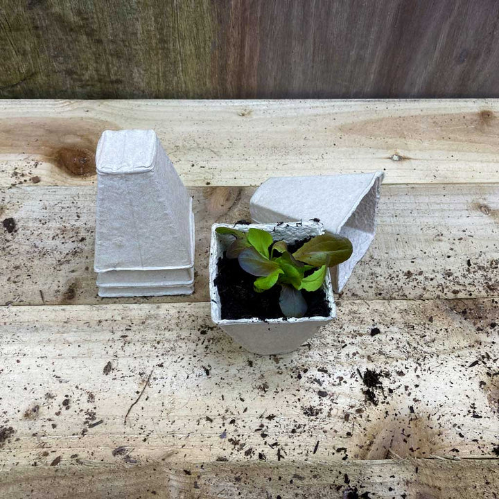 Square Peat Free Pots