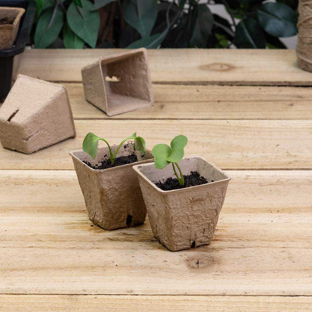 Square Peat Free Pots