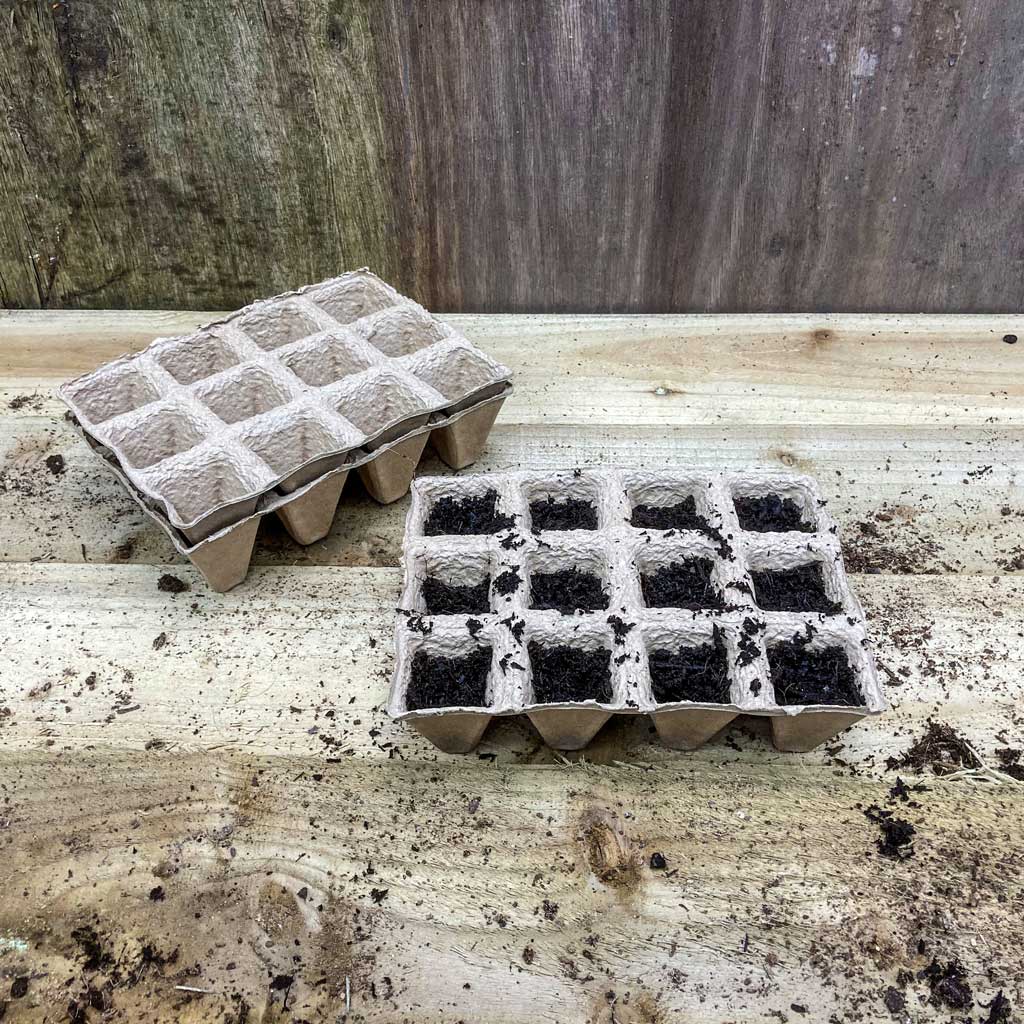 cardboard cells trays for seedlings