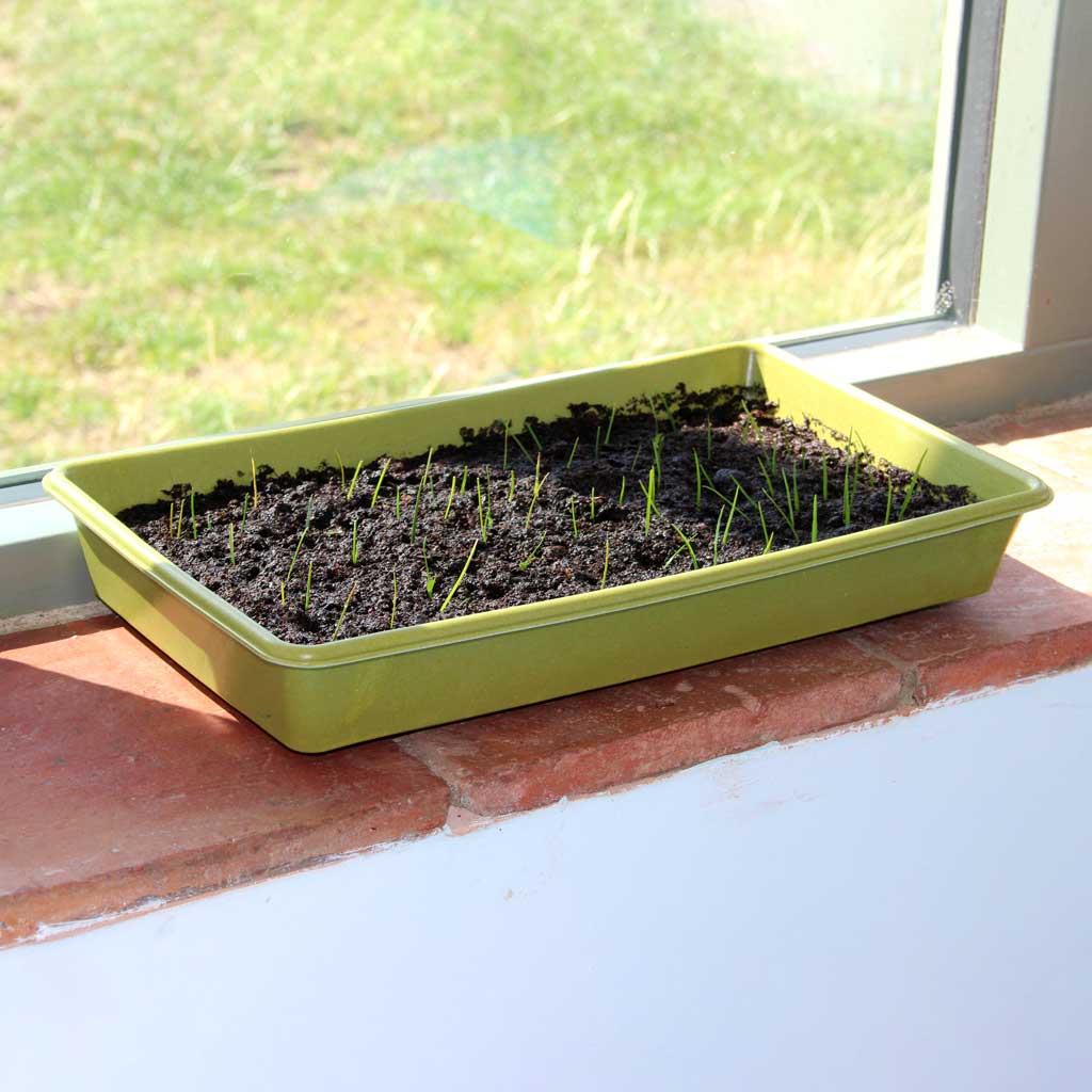 Bamboo Seed Tray Sage Green