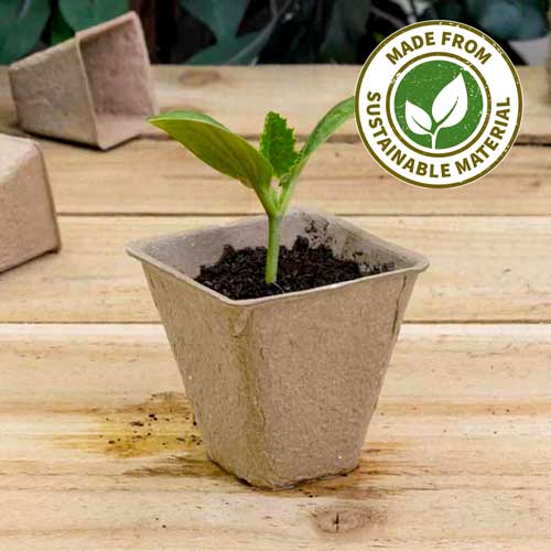 where can i get free plant pots Square Peat Free Pots