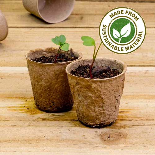 Round Peat Free Pots