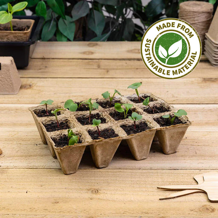sustainable carboard plant propagation cells