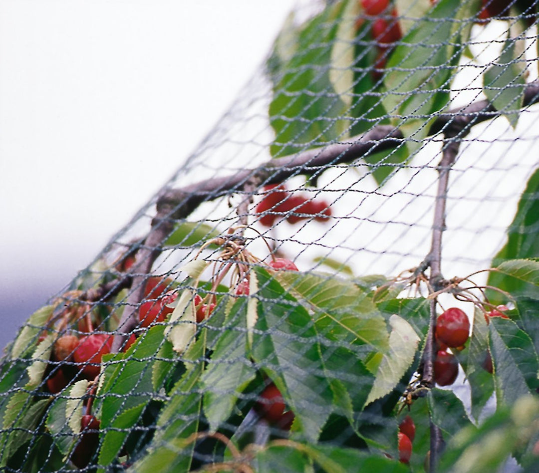 Anti Bird Netting - Woven Black 19mm mesh Netting and Fabrics Knowle Nets 