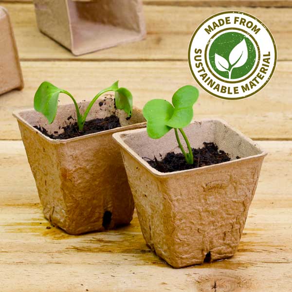 Square Peat Free Pots