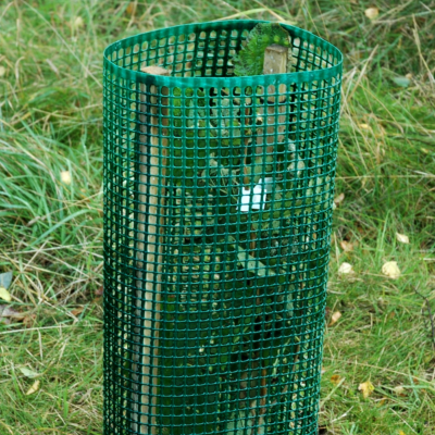 Top section of the Knowle Nets Treeguard Mesh Rolls surrounded a tree sapling.
