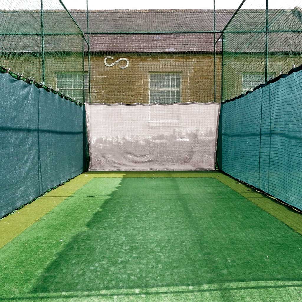 Cricket bay with cricket net blinkers 