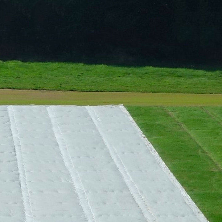 edge of germination sheet shown against fresh grass 