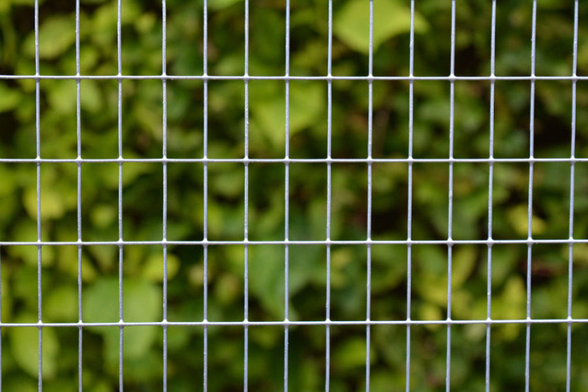 Galvanised Weld Mesh Mini Roll close up with a bush out of focus in the background.