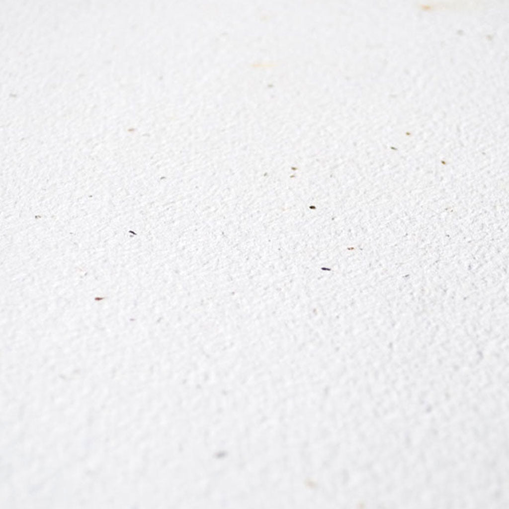 close up of white germination sheet