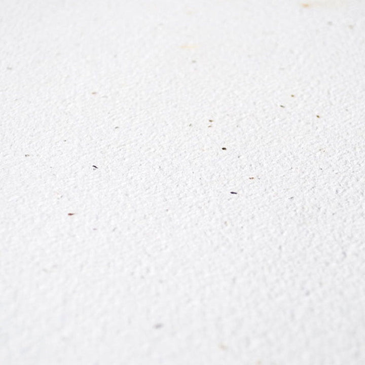 close up of white germination sheet