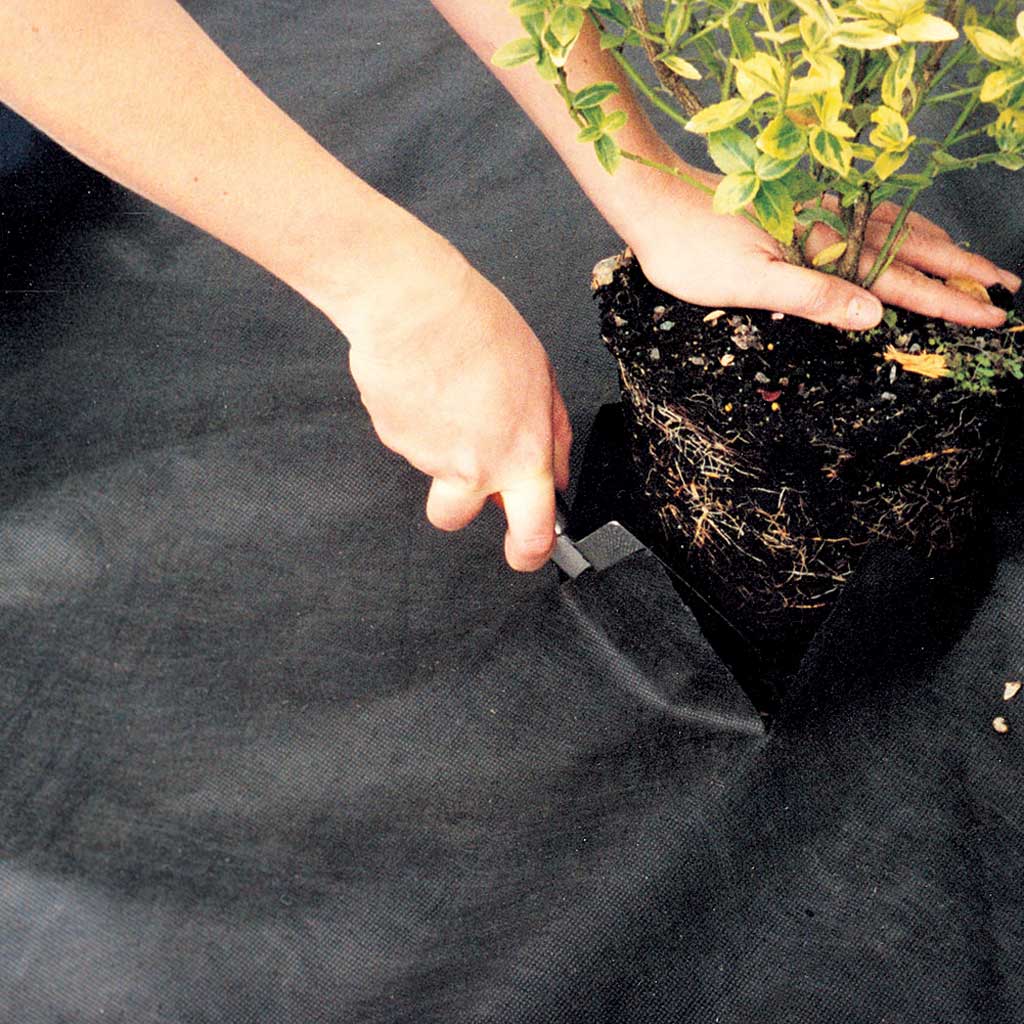 planting plant into weed membrane