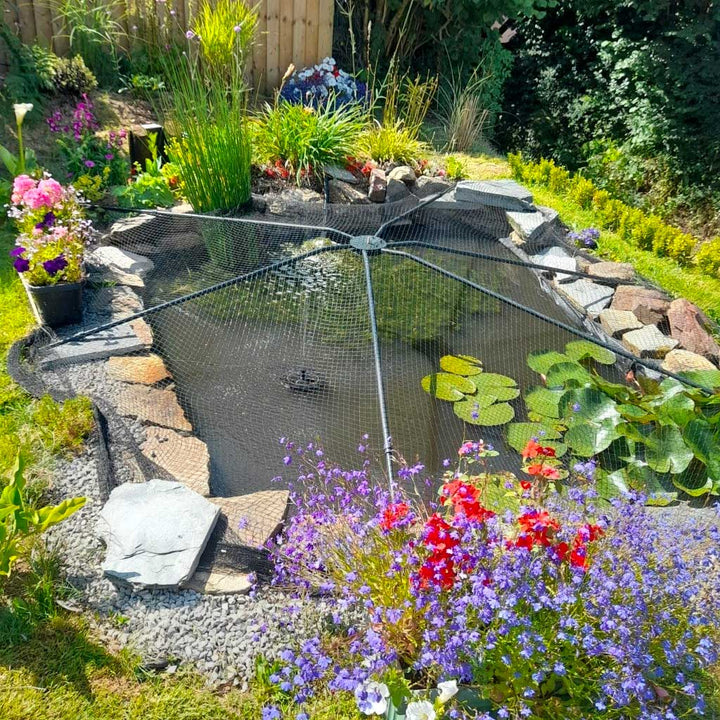 Small garden pond surrounded by rocks and flowers. Over the pond there is a Knowle Nets Pond Cover with netting installed