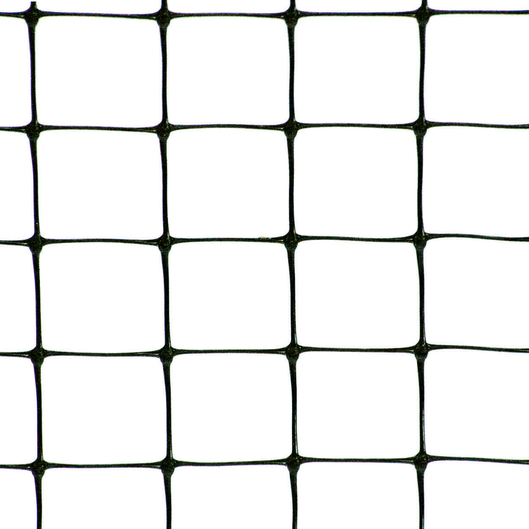 Premium Fruit Cage Side Net on white background