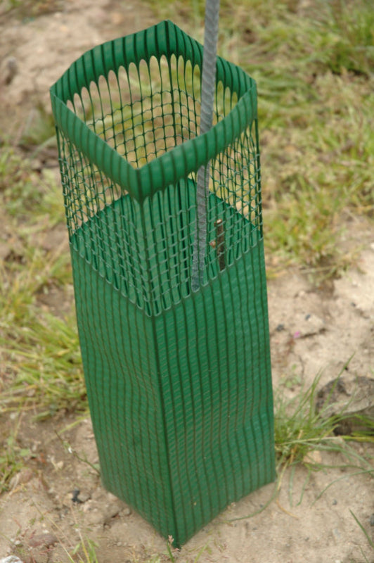 Tildenet Spray Guard in green installed around a very young, thin tree trunk