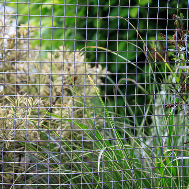 Welded Wire Mesh - 25m roll
