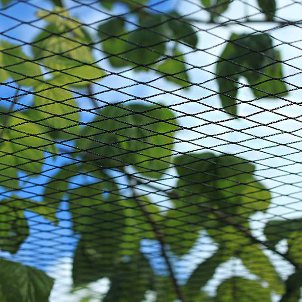 Fruit Cage Roof Net - 19mm woven diamond mesh