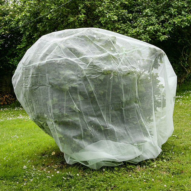 Fruit Tree Protection Net 2m | Knowle Nets
