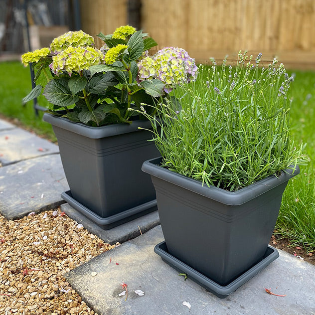 Anthracite Square Pots & Saucers