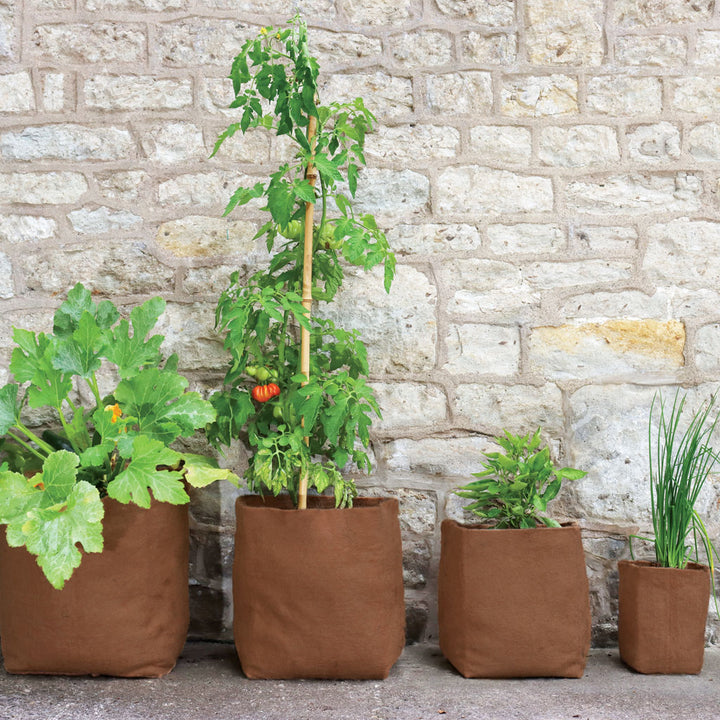 Hemp pots- group 