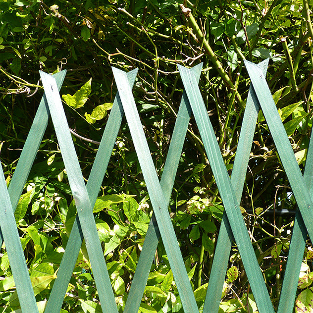 Expanding Wooden Trellis