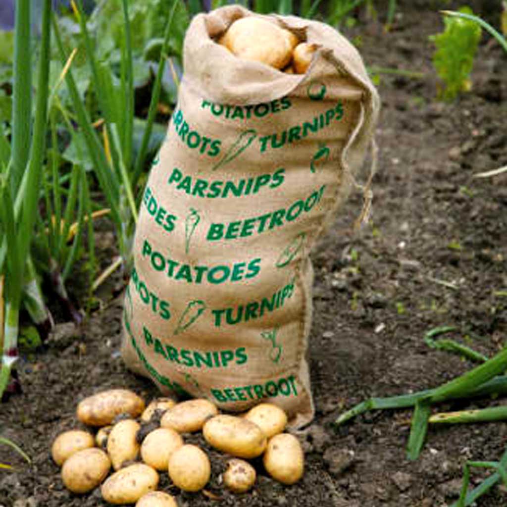 vegetable sacks in use with potatoes