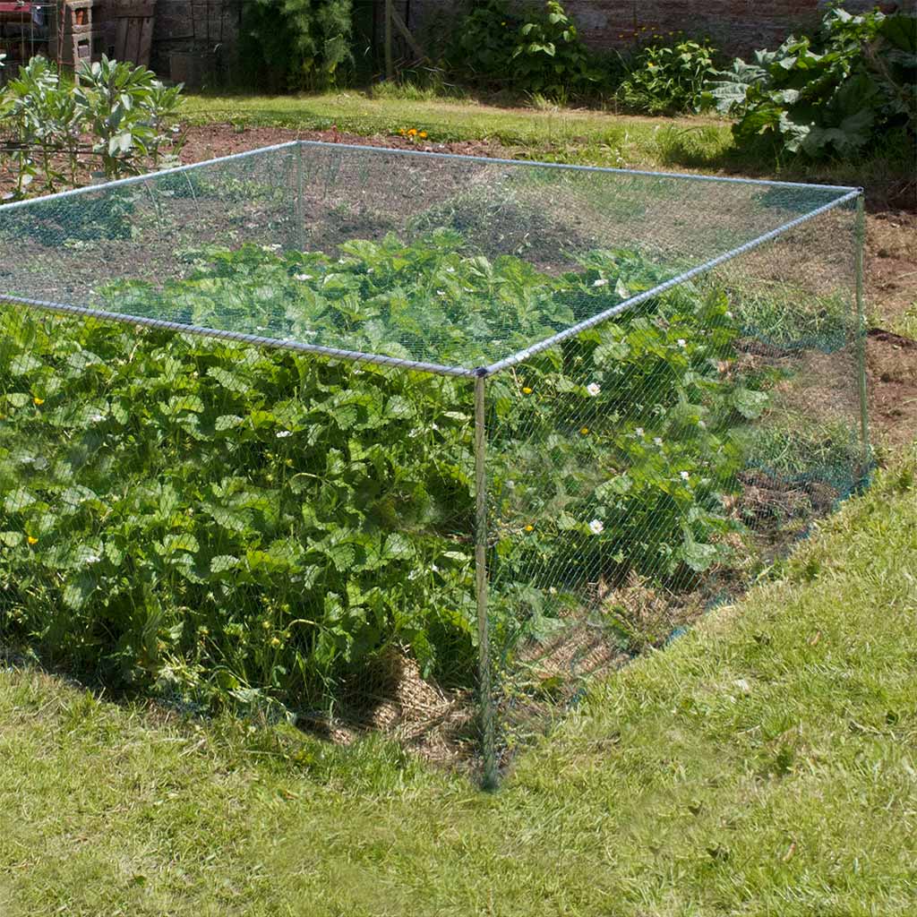 Aluminium Low Fruit Cage