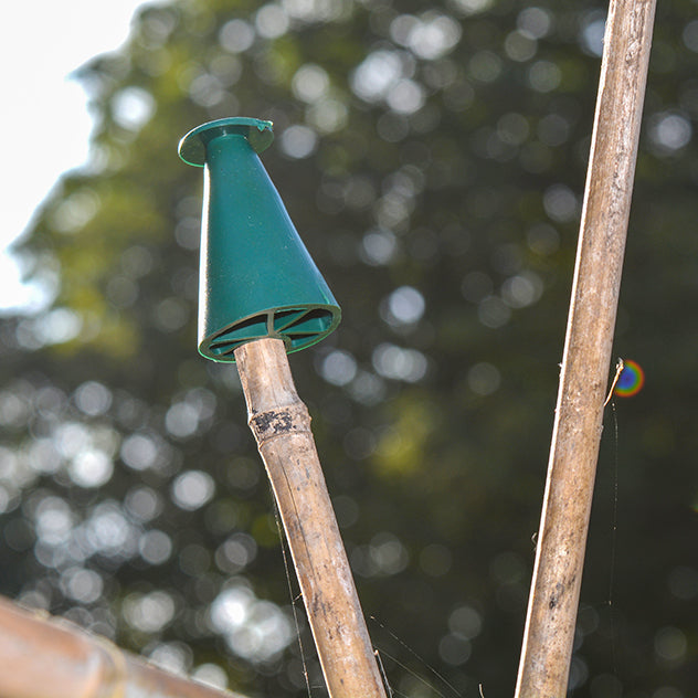 Multi Purpose Cane Caps