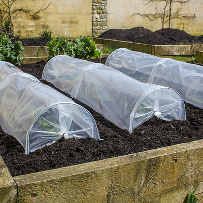 Easy Seedling Tunnels (3 pack) - Knowle Nets