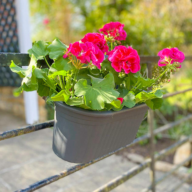 Balcony Hanging Planter