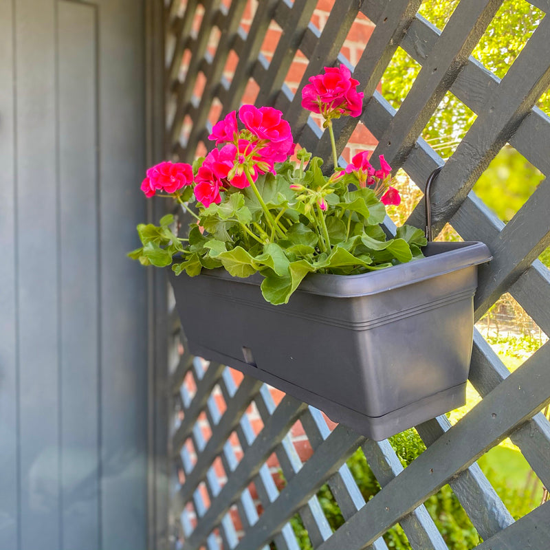 Anthracite Window Planter Box (With Integral Tray)