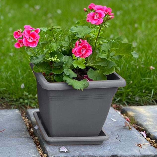 Anthracite Square Pots & Saucers