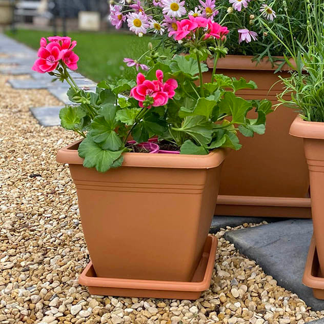 Terracotta Square Pots & Saucers