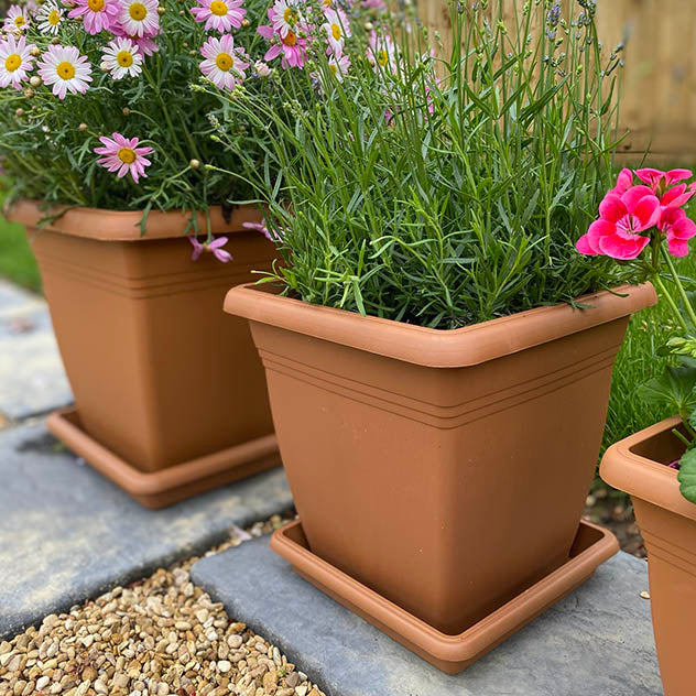 Terracotta Square Pots & Saucers