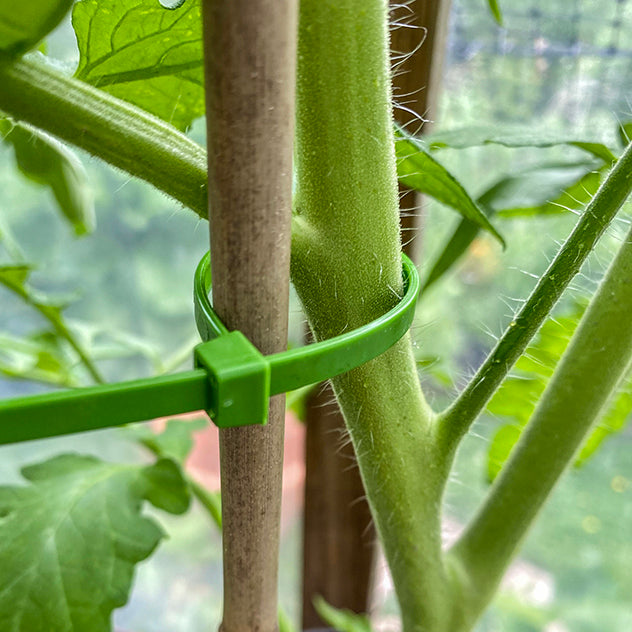 Green 8" Cable Ties