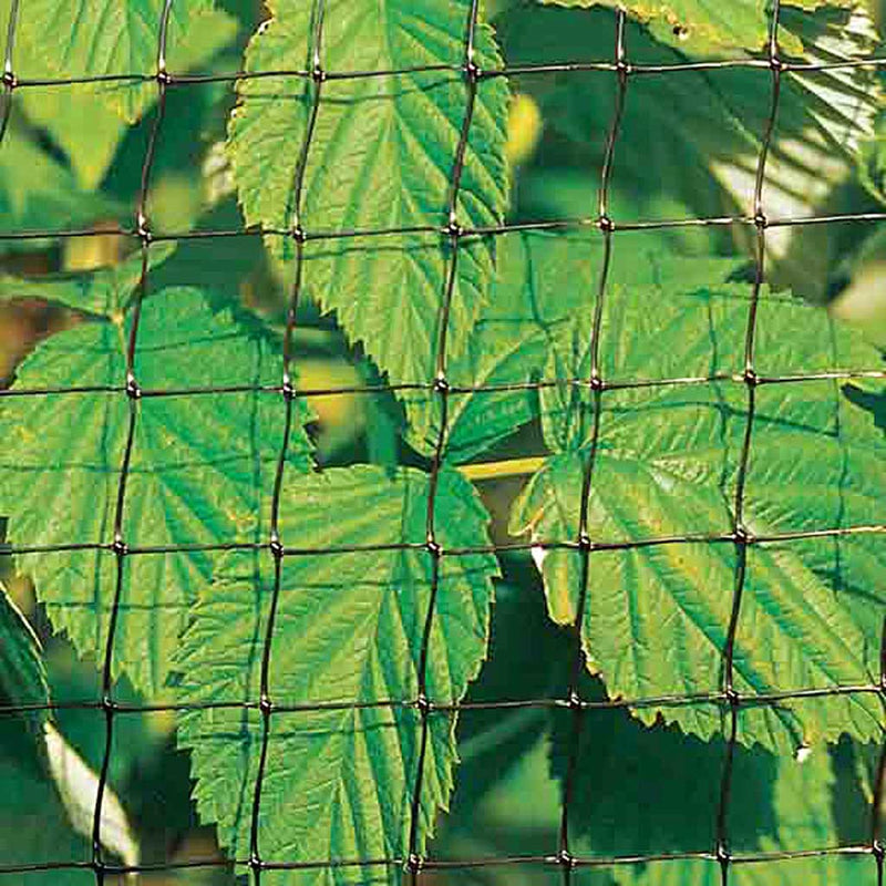 Knowle nets - Fruit Cage Standard Side Net - 60g/m moulded mesh- Leaves background