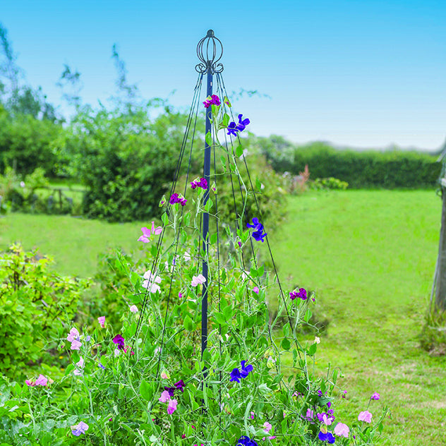 Garden Maypole