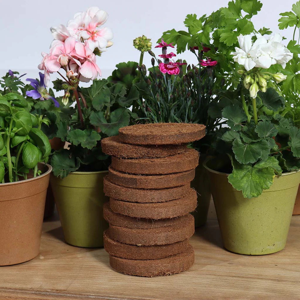 Growlite Peat-Free, 20g Discs - Pack of 10