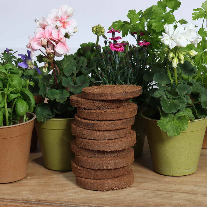 Growlite Peat-Free, 20g Discs - Pack of 10