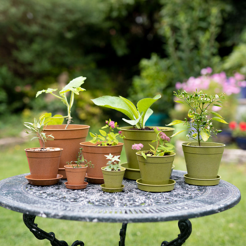 Haxnicks range of Bamboo eco friendly pots and saucers