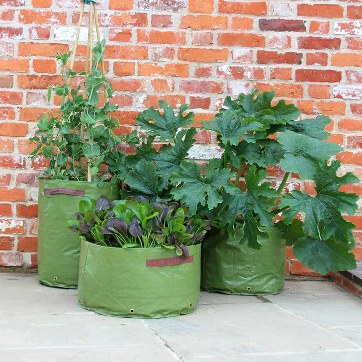 3 vegetable planters