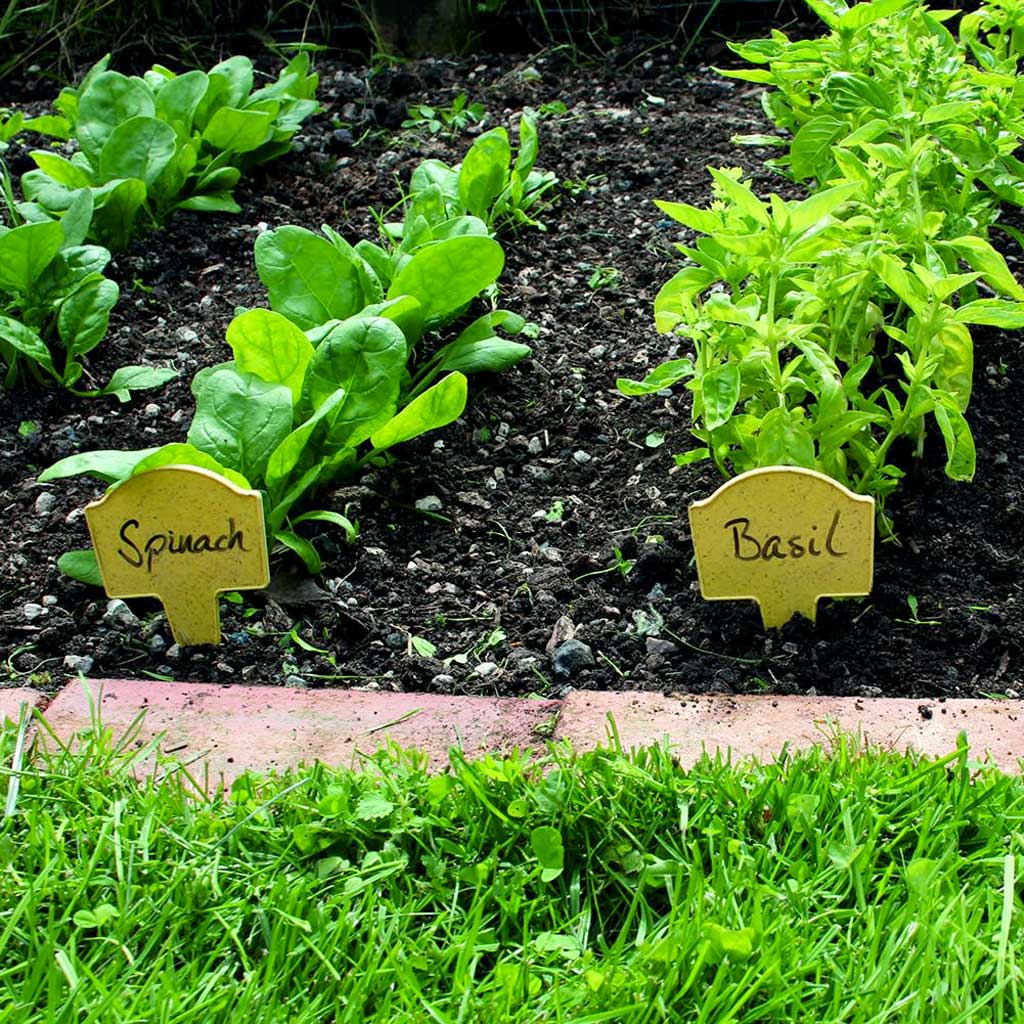 bamboo plant marker in use